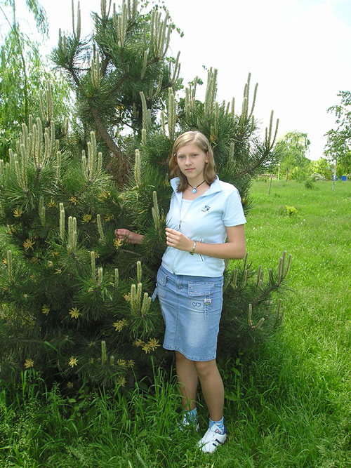 alyonchik