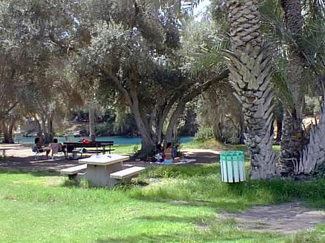 Sachne