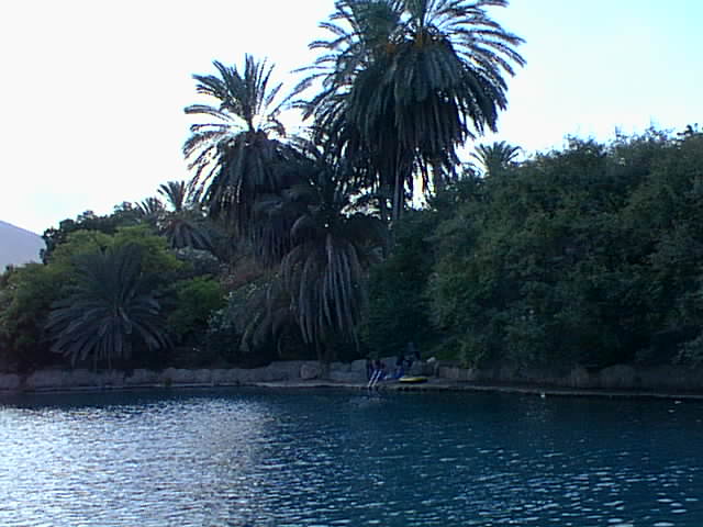 Sachne