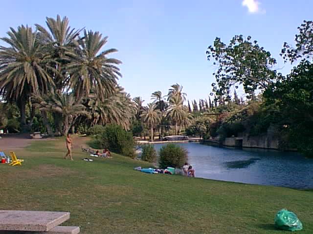 Sachne