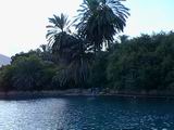 Sachne