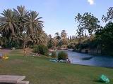 Sachne